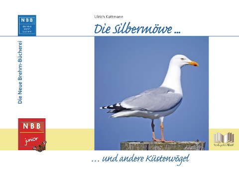 Die Silbermöwe und andere Küstenvögel - Ulrich Kattmann