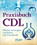 Praxisbuch CDL - Brigitte Hamann