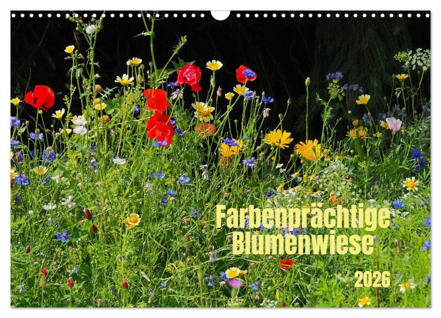 Farbenprächtige Blumenwiese (Wandkalender 2026 DIN A3 quer), CALVENDO Monatskalender - Thilo Seidel