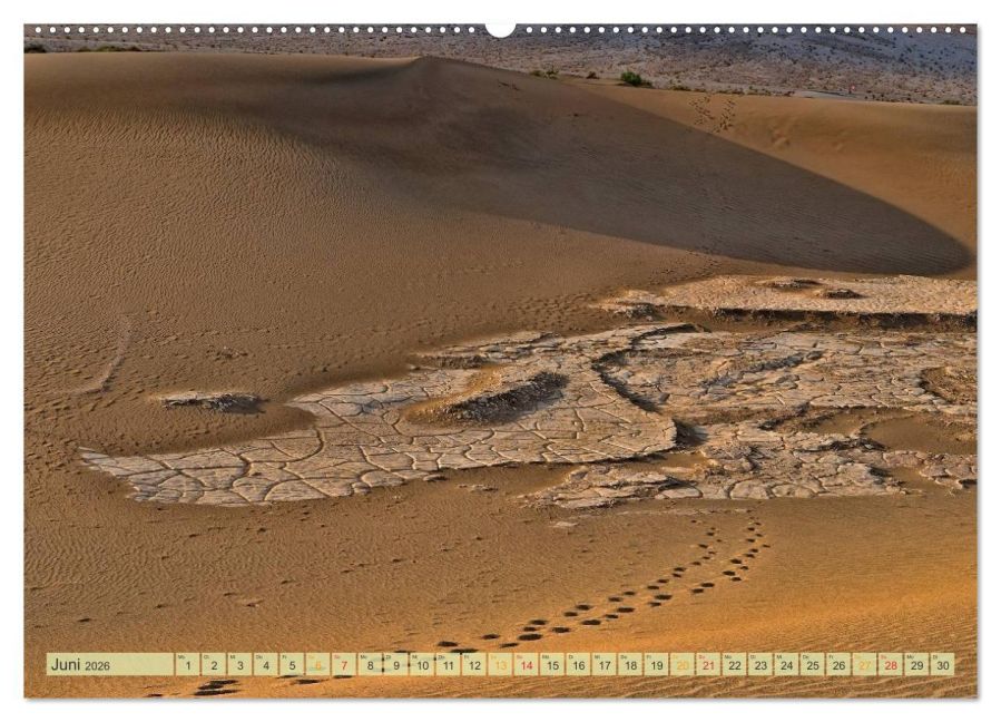 InsideView 10