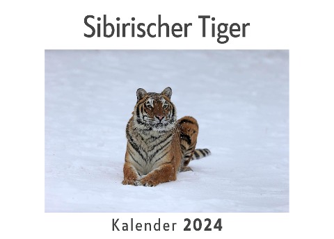 Sibirischer Tiger (Wandkalender 2024, Kalender DIN A4 quer, Monatskalender im Querformat mit Kalendarium, Das perfekte Geschenk) - Anna Müller