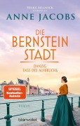 Cover-Bild zum Titel 'Die Bernsteinstadt - Danzig - Tage des Aufbruchs' von 'Hilke Sellnick, Anne Jacobs'