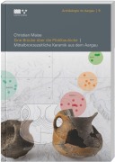 Cover-Bild zum Titel 'Eine Brücke über die Pfahlbaulücke' von 'Christian Maise'