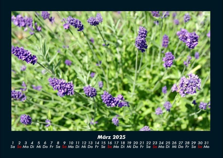 InsideView 7