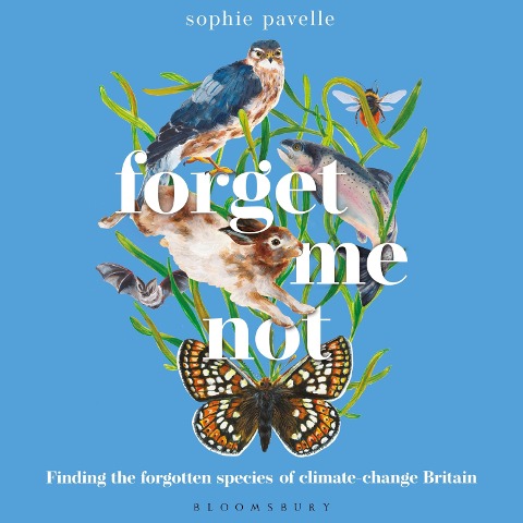 Forget Me Not - Sophie Pavelle