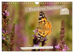 Cover-Bild zum Titel 'Frankens Insekten (Wandkalender 2026 DIN A4 quer), CALVENDO Monatskalender' von 'Susanne Paulus'