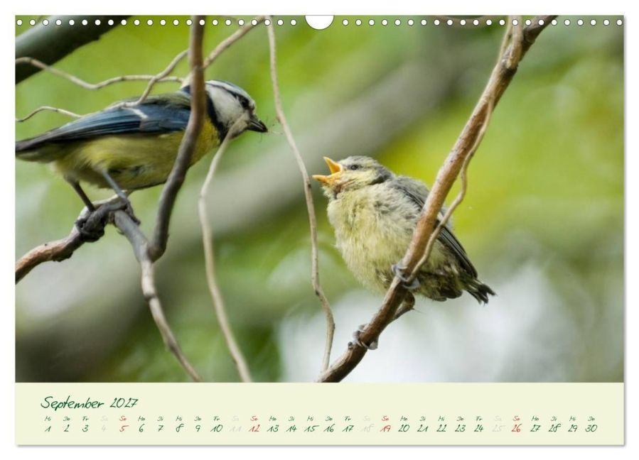 InsideView 14