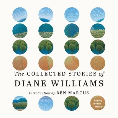 The Collected Stories of Diane Williams - Diane Williams