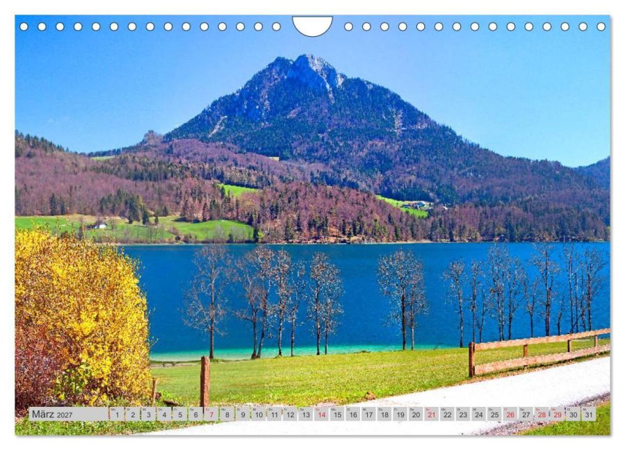 InsideView 8