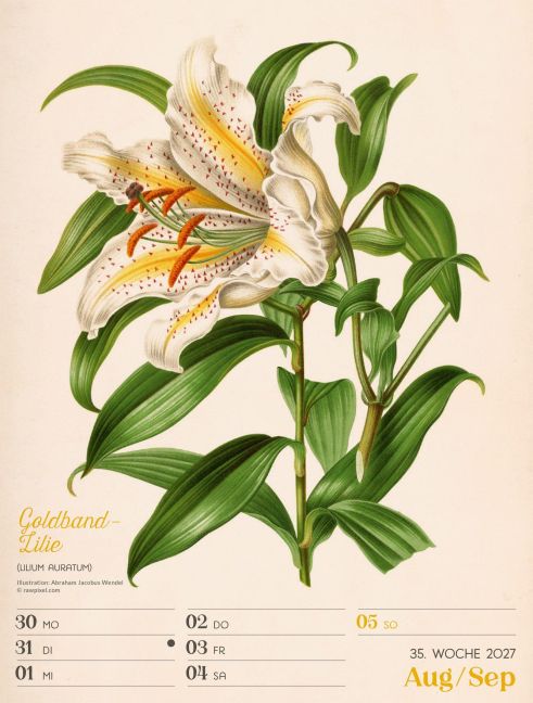 InsideView 39
