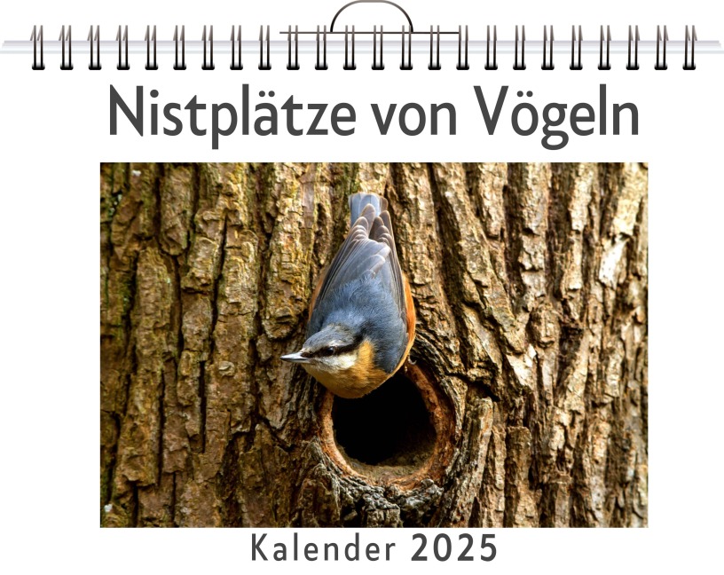 Nistplätze von Vögeln - Julia Horn