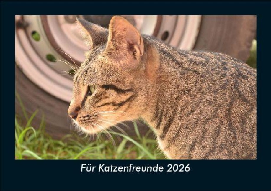 Für Katzenfreunde 2026 Fotokalender DIN A5 - Tobias Becker