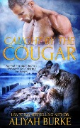 Cover-Bild zum Titel 'Caught by the Cougar (Paranormal Felines, #4)' von 'Aliyah Burke'