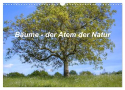 Cover-Bild zum Titel 'Bäume, der Atem der Natur (Wandkalender 2026 DIN A3 quer), CALVENDO Monatskalender' von 'Christine Wirges'