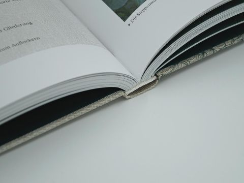 InsideView 5