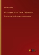 Cover-Bild zum Titel 'Gli ostrogoti in San Vito al Tagliamento' von 'Antonio Cicuto'