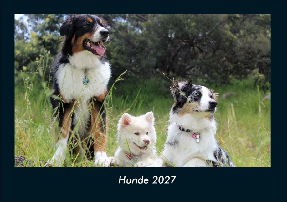 Hunde 2027 Fotokalender DIN A4 - Tobias Schmitt, Kevin Heber
