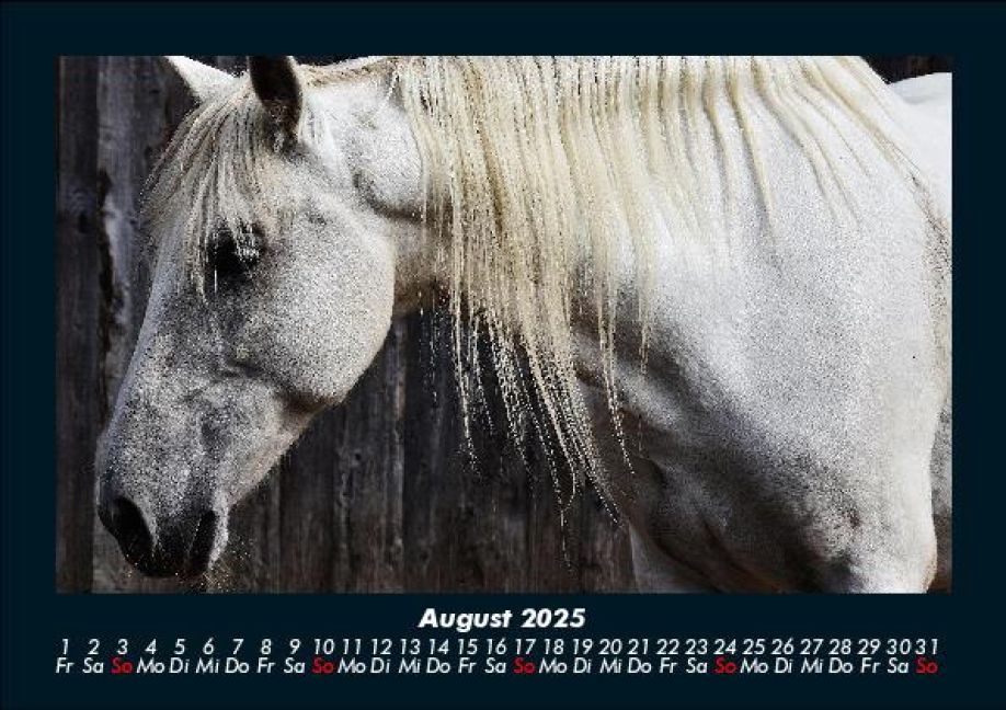 InsideView 12