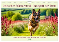 Cover-Bild zum Titel 'Deutscher Schäferhund - Inbegriff der Treue (Wandkalender 2026 DIN A4 quer), CALVENDO Monatskalender' von 'Claudia Kleemann'