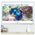 Meerestiere unter der Lupe - Unterwasserkalender (hochwertiger Premium Wandkalender 2024 DIN A2 quer), Kunstdruck in Hochglanz - Sven Gruse