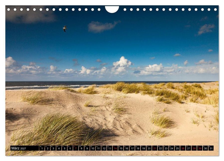 InsideView 8