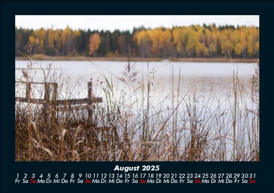 InsideView 12