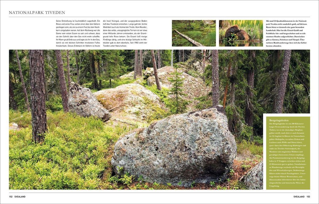 InsideView 9
