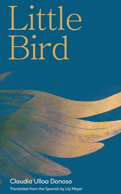 Little Bird - Claudia Ulloa Donoso