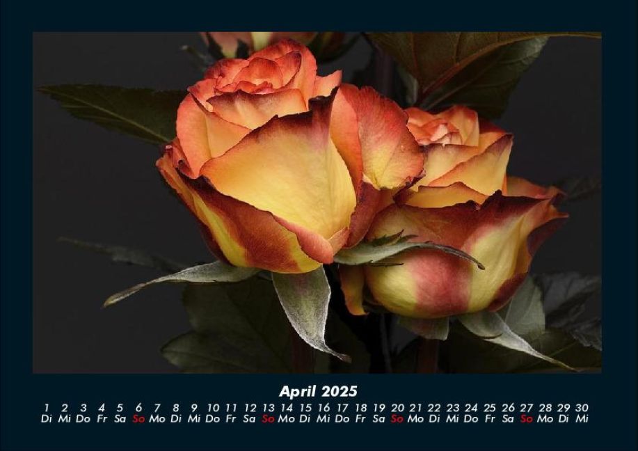 InsideView 8