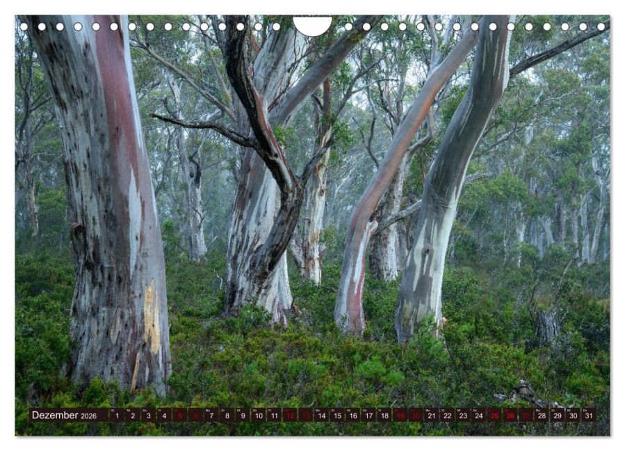 InsideView 4