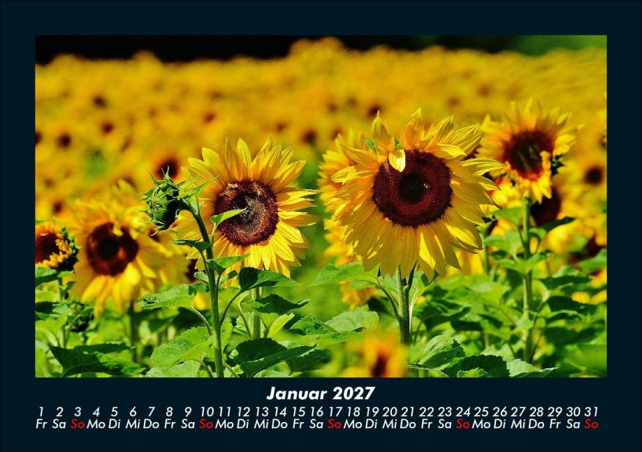 InsideView 5