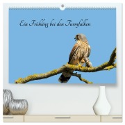 Cover-Bild zum Titel 'Ein Frühjahr bei den Turmfalken (hochwertiger Premium Wandkalender 2026 DIN A2 quer), Kunstdruck in Hochglanz' von 'Ruth Namuth'