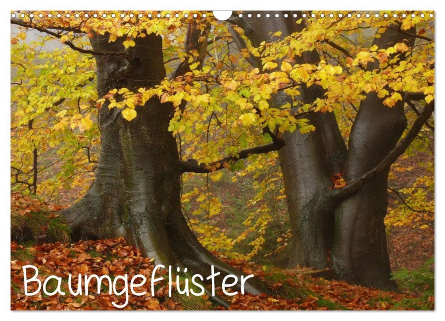 Baumgeflüster (Wandkalender 2026 DIN A3 quer), CALVENDO Monatskalender - Uwe Wittbrock