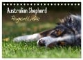 Australian Shepherd - Augenblicke (Tischkalender 2024 DIN A5 quer), CALVENDO Monatskalender - David Andrey