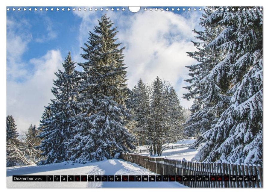 InsideView 4