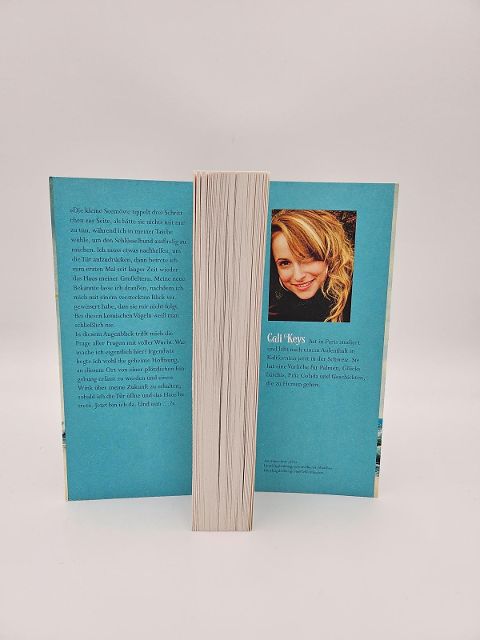 InsideView 5