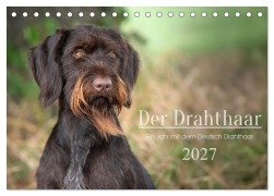 Cover-Bild zum Titel 'Der Drahthaar (Tischkalender 2027 DIN A5 quer), CALVENDO Monatskalender' von 'Yvonne Streib'