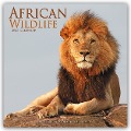African Wildlife - Afrikanische Tierwelt 2025 - 16-Monatskalender - Avonside Publishing Ltd