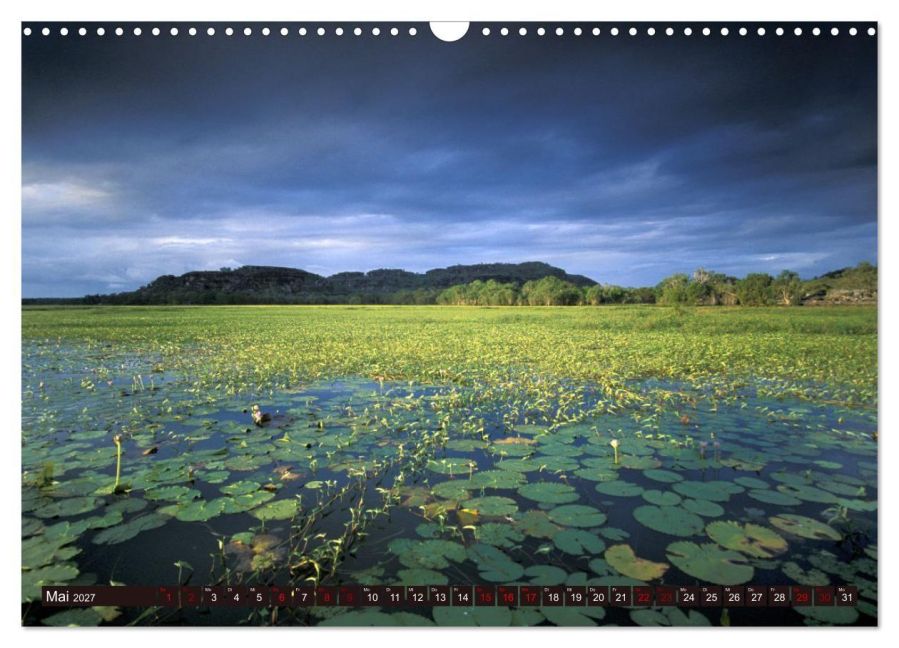 InsideView 10