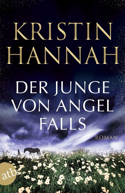 Der Junge von Angel Falls - Kristin Hannah