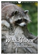 Cover-Bild zum Titel 'Waschbären Familienplaner (Wandkalender 2027 DIN A4 hoch), CALVENDO Monatskalender' von 'Martina Berg'