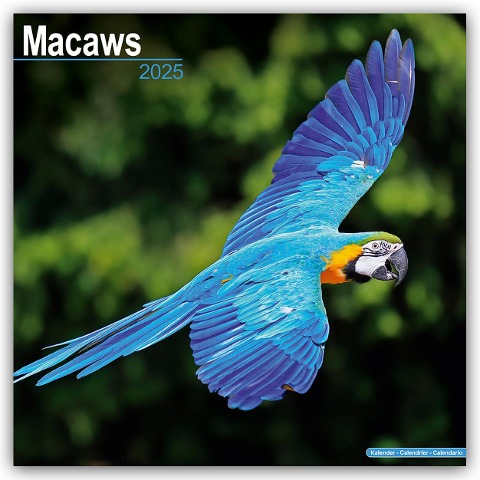 Macaws - Ara-Papageien - Aras 2025 - 16-Monatskalender - Avonside Publishing Ltd