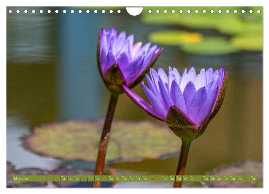 InsideView 10
