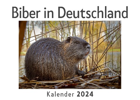 Biber in Deutschland (Wandkalender 2024, Kalender DIN A4 quer, Monatskalender im Querformat mit Kalendarium, Das perfekte Geschenk) - Anna Müller
