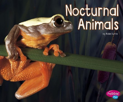 Nocturnal Animals - Abbie Dunne