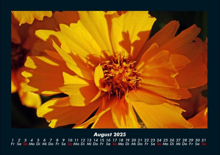 InsideView 12