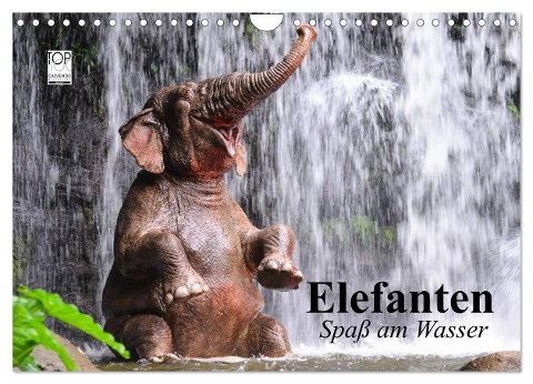 Elefanten. Spaß am Wasser (Wandkalender 2024 DIN A4 quer), CALVENDO Monatskalender - Elisabeth Stanzer