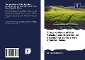 Cover-Bild zum Titel 'The problems of the Russian countryside: an attempt to solve a key imperial issue' von 'I. K. Shcherbakova'
