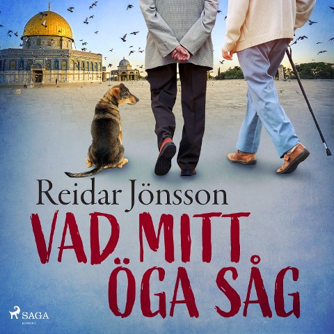 Vad mitt öga såg - Reidar Jönsson