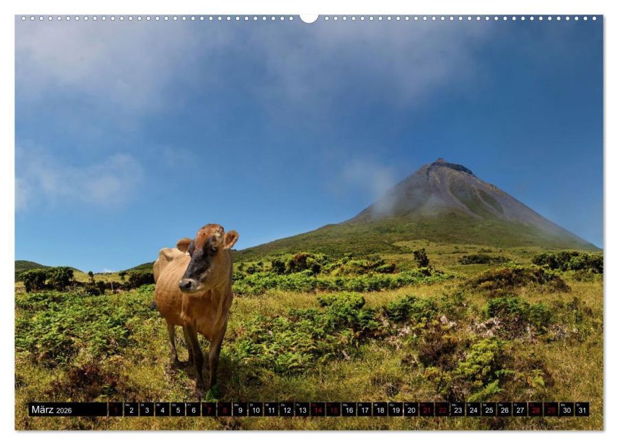 InsideView 7